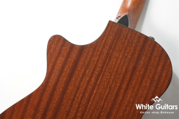 312ce 12Fret V-Class